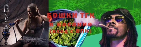 дживик Корсаков